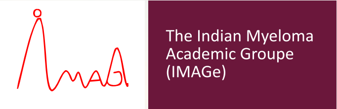 IMC Logo